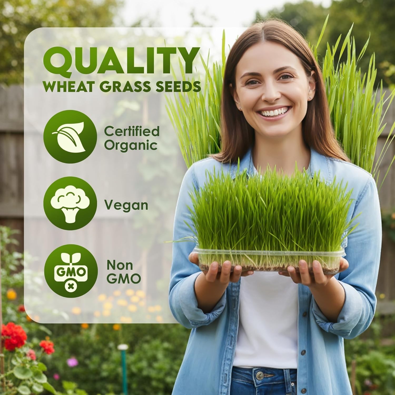 Organic Wheat Grass Seeds for Cats & Smoothies – 16oz Resealable Pack