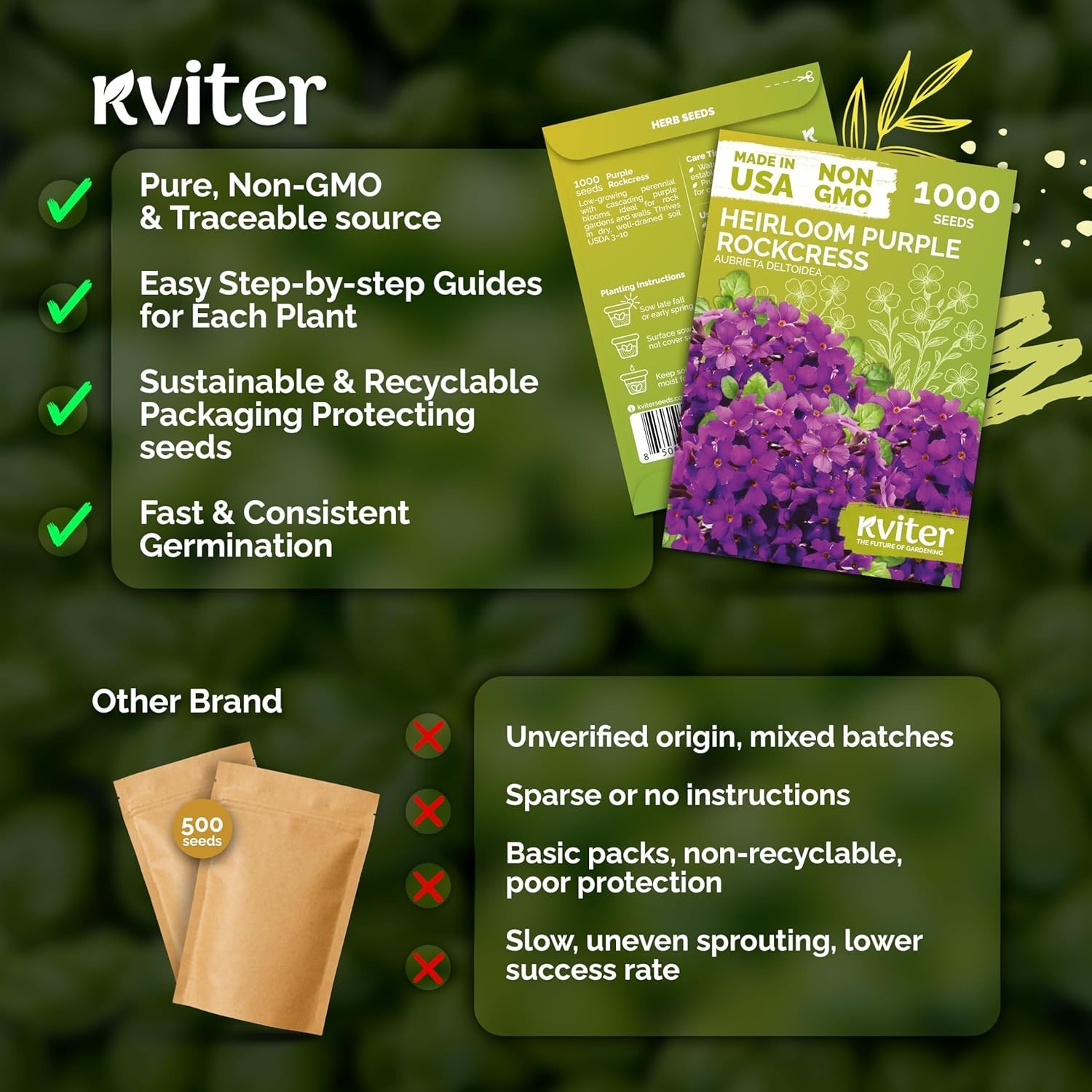 Aubrieta Deltoidea Seeds: 1,000 Organic Rock Cress Seeds for Lush Ground Cover