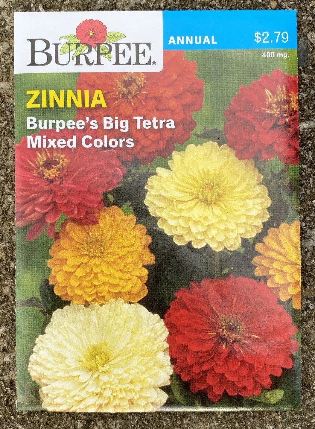 BURPEE – ZINNIA BURPEE’S BIG TETRA MIXED COLORS