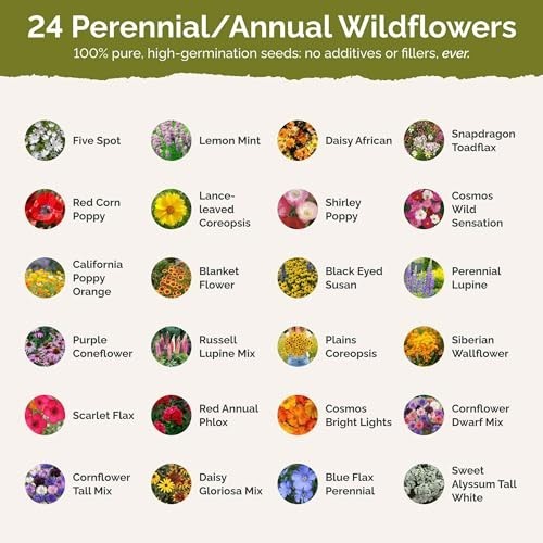 Southeast Wildflower Seed Mix – 1 lb, 480,000+ Seeds, Attracts Pollinators, Zone