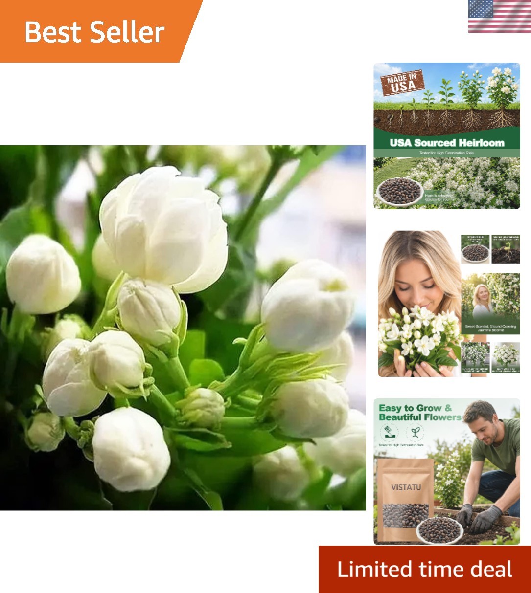 Sweetly Scented Jasmine Seeds – 100+ Non-GMO Climbing Plants for Vibrant Gardens
