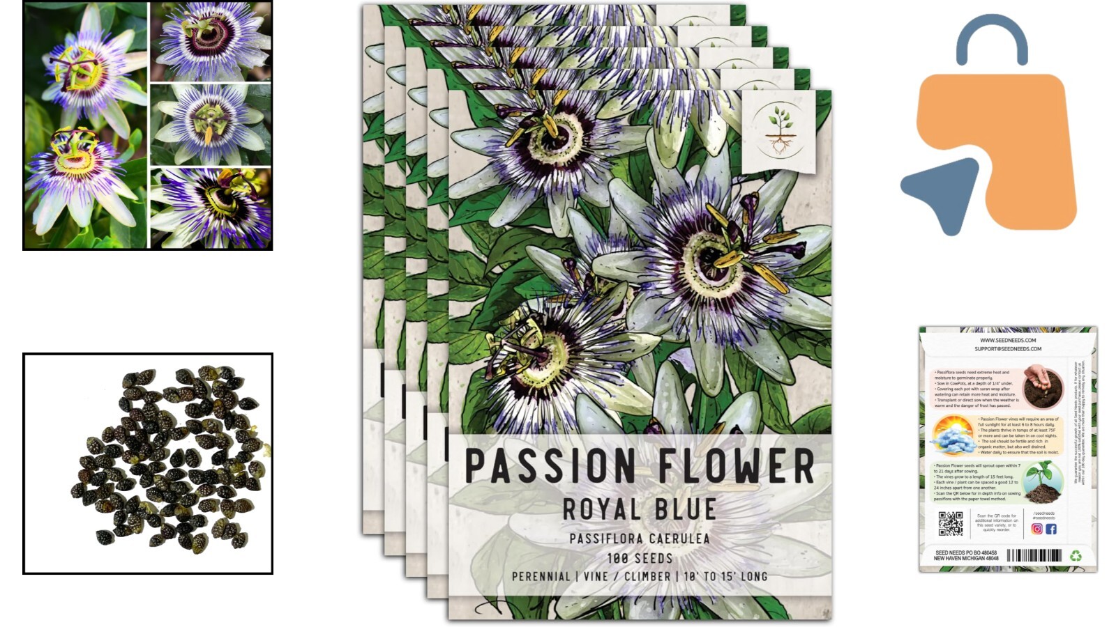 5 Packs of Royal Blue Passion Flower Seeds – Hardy Vines for Ornamental Climbing
