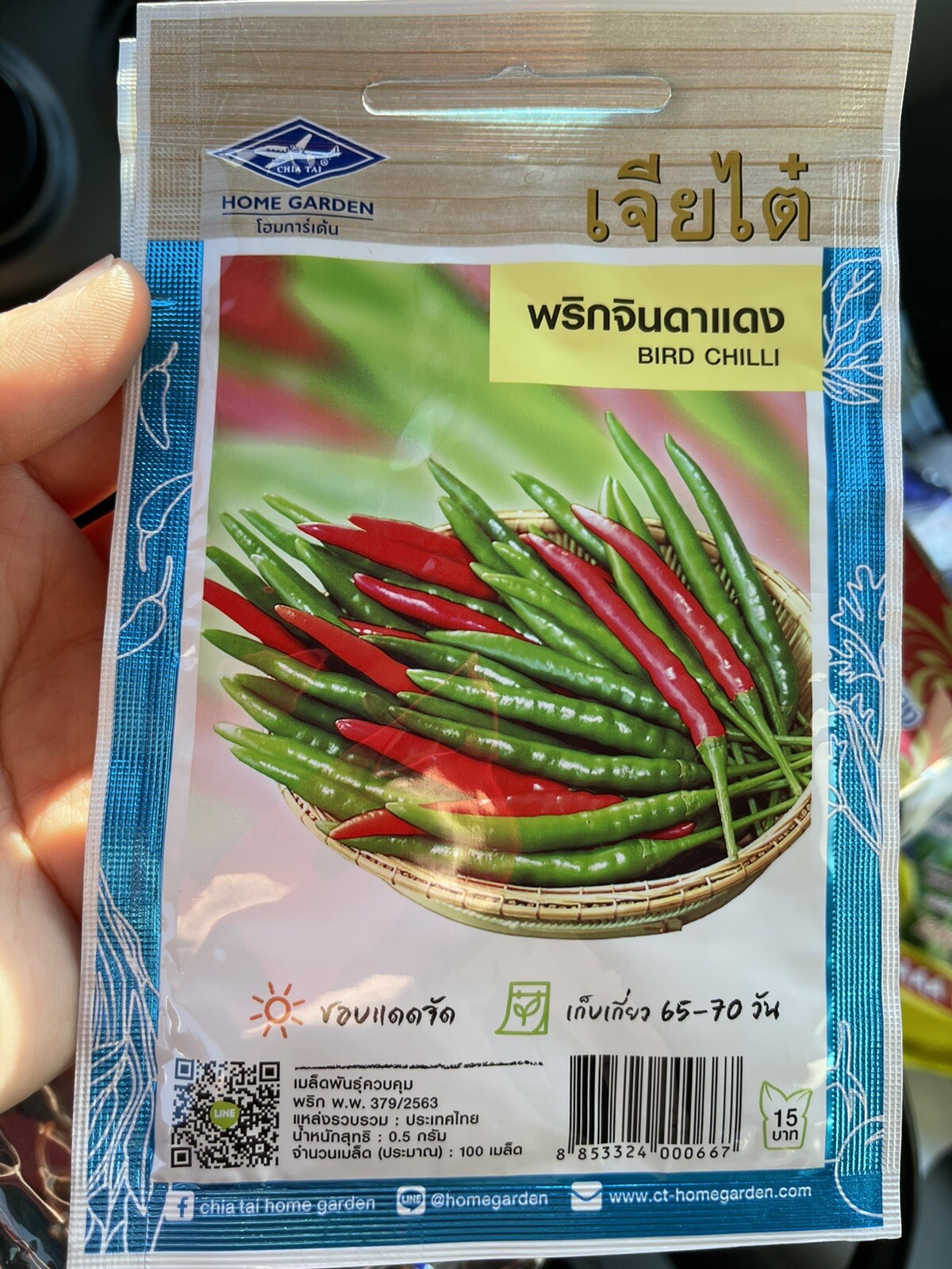 Bird Chilli Seeds, พริกจินดาแดง