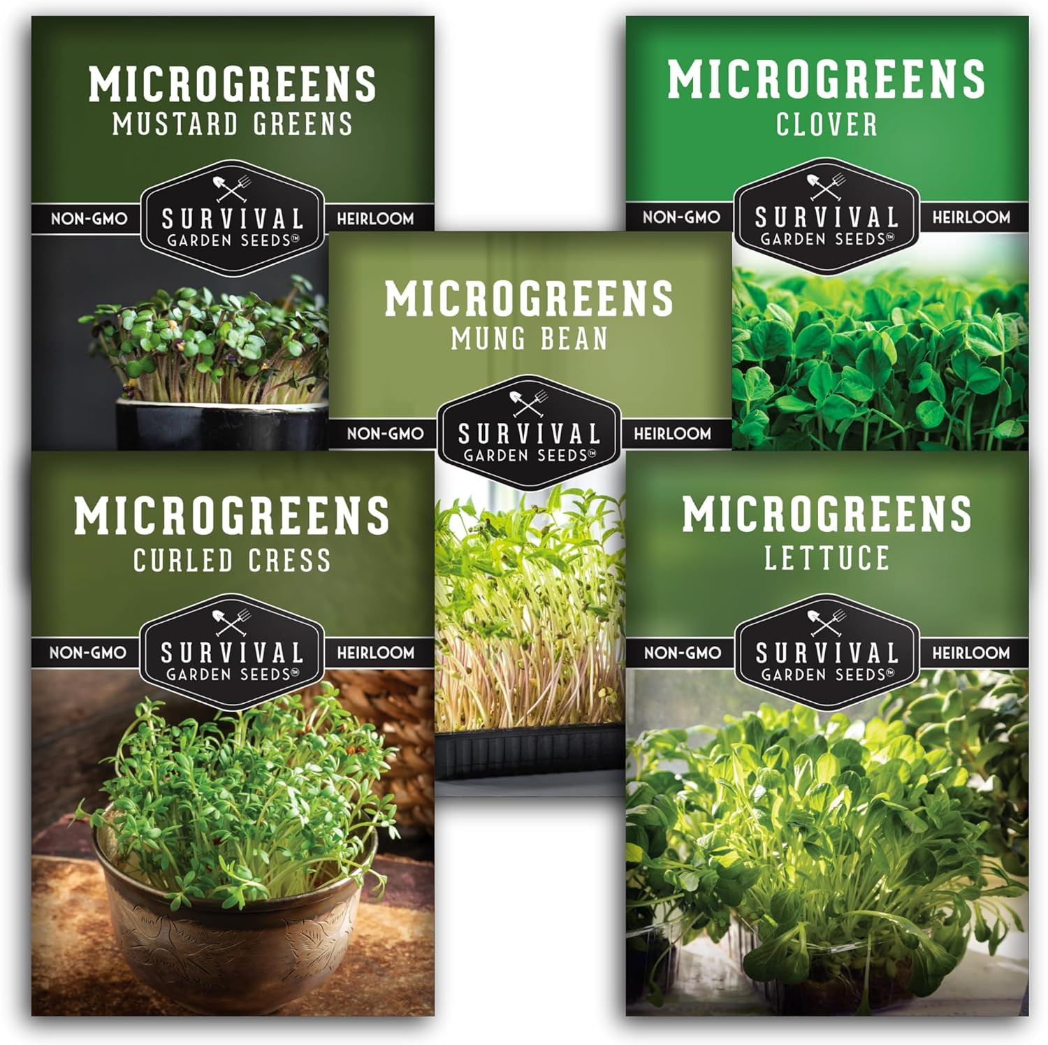 Microgreens Seeds 5-Variety Pack for Sprouting – Mustard, Mung Bean, Curled Cres
