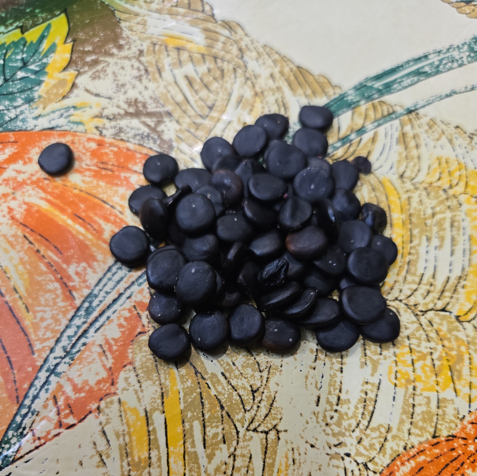 30 Seeds, Red Guamuchil, Pithecellobium dulce, Tree Madras Thorn Manila tamarind