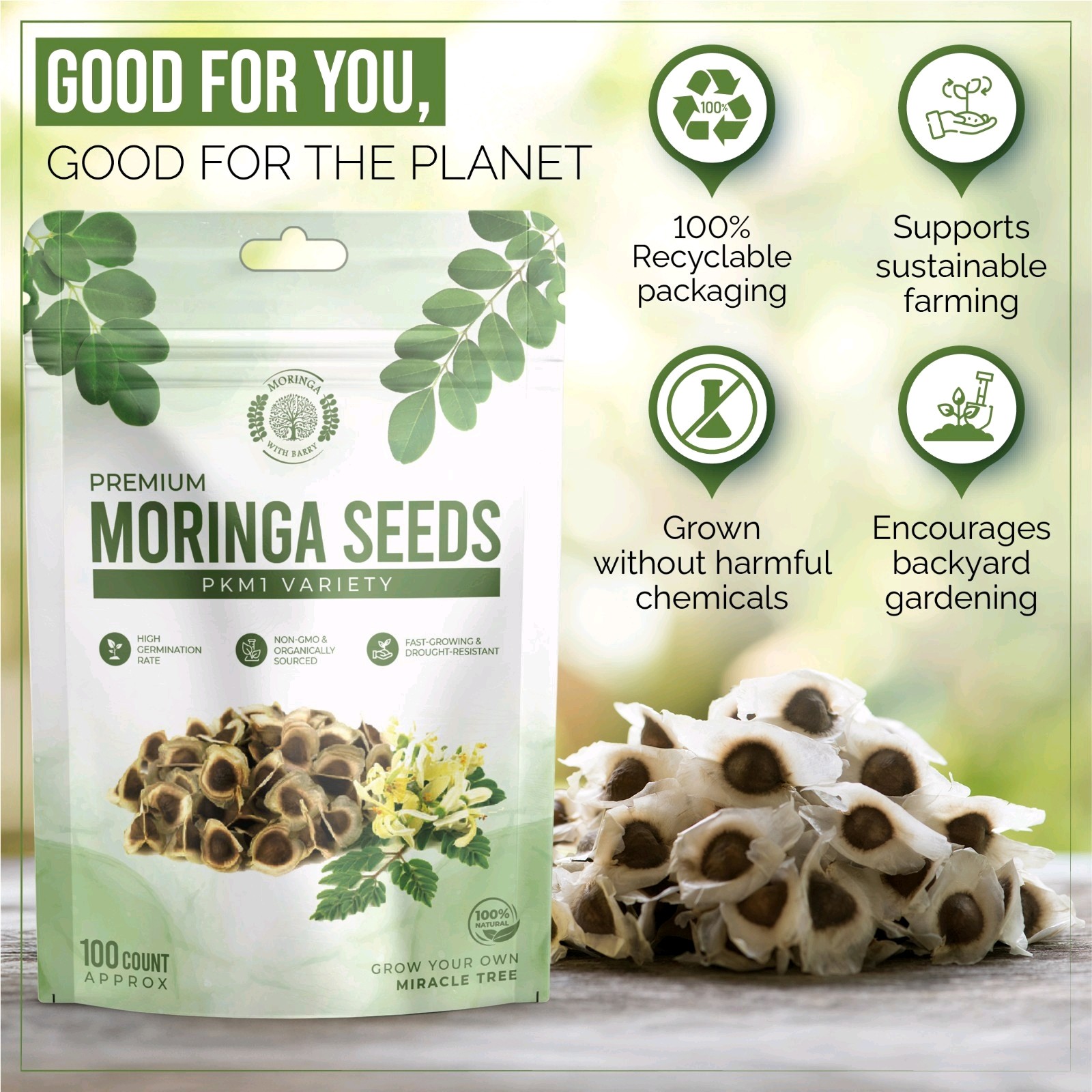 Moringa Seeds 100 Count Moringa Tree Seeds High Germination Rates
