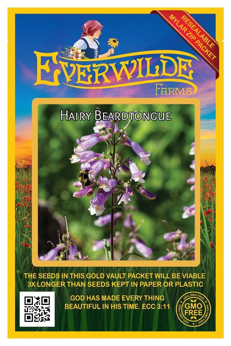 1250 Hairy Beardtongue Wildflower Seeds – Everwilde Farms Mylar Seed Packet