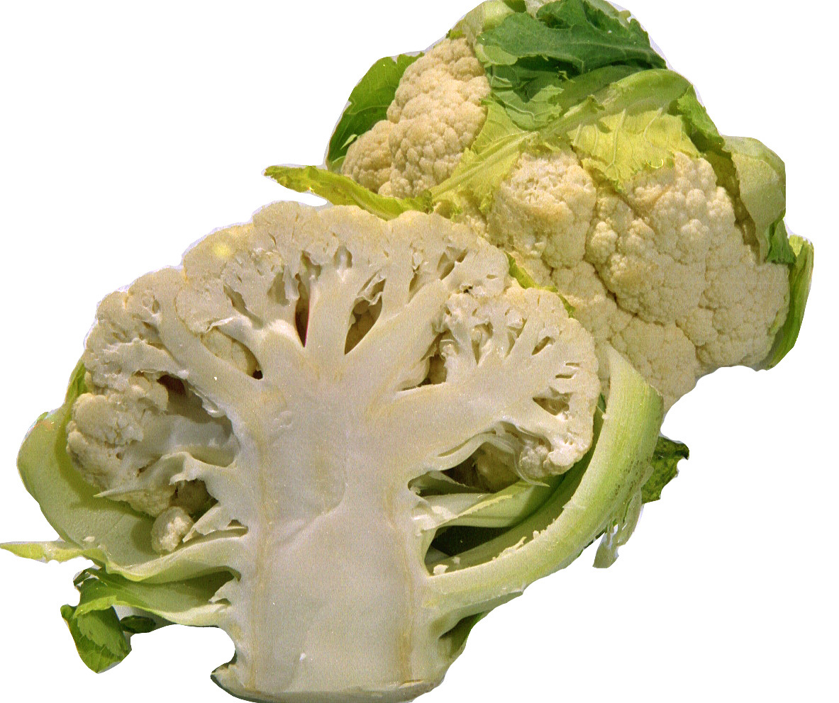 Cauliflower Seeds – Early Snowball Y