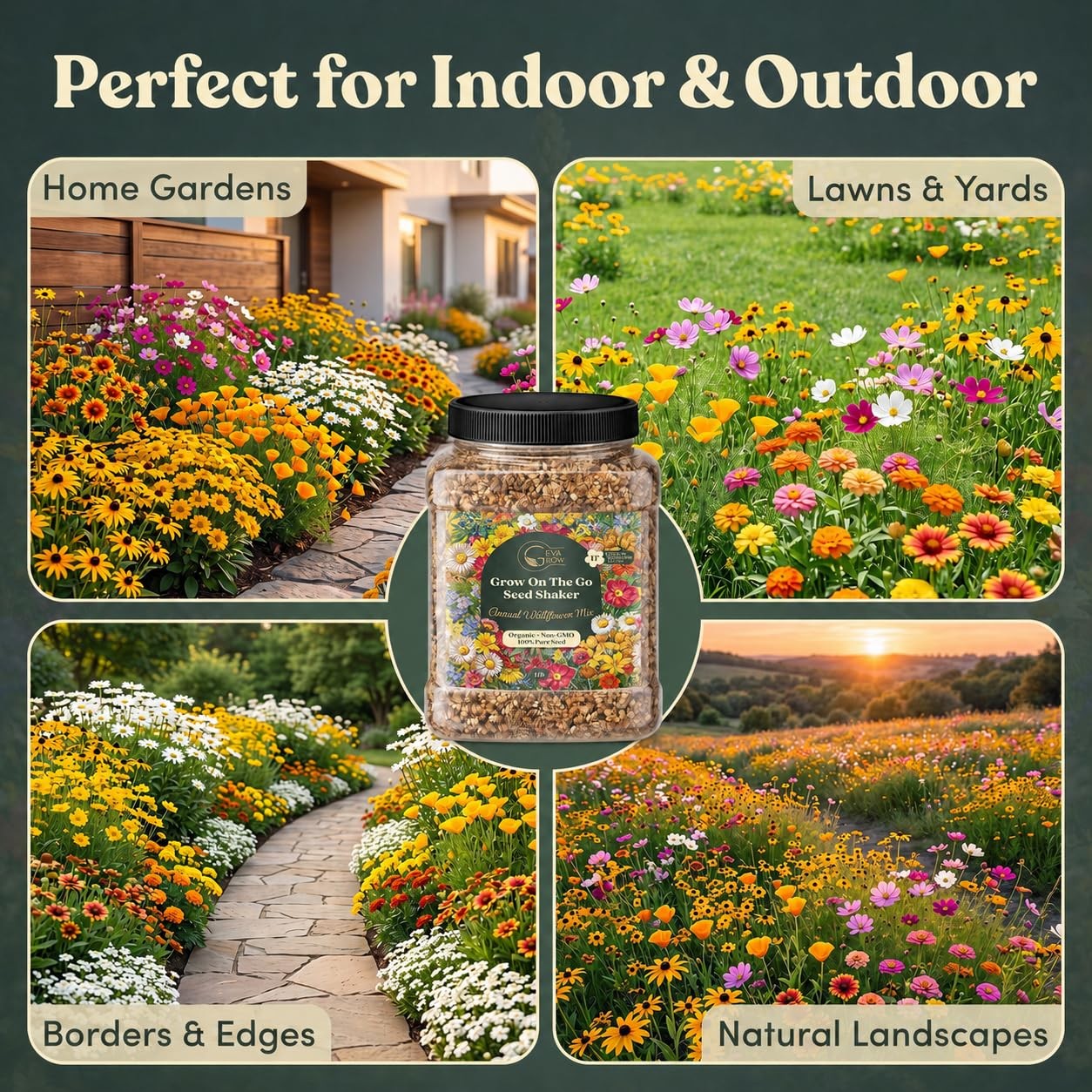 Annual Wildflower Seed Mix 17 Varieties for Pots & Gardens 1 lb Tub