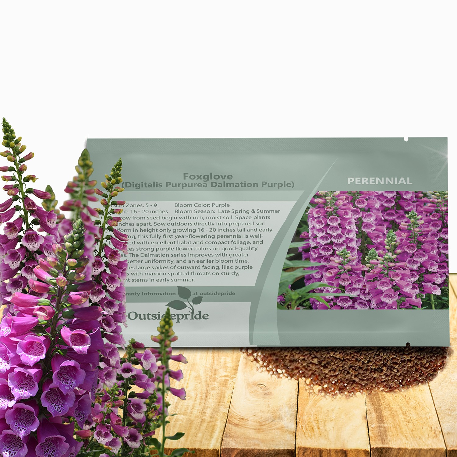 25 Seeds Biennial Digitalis Dalmatian Purple Foxglove Flower Plant Seeds
