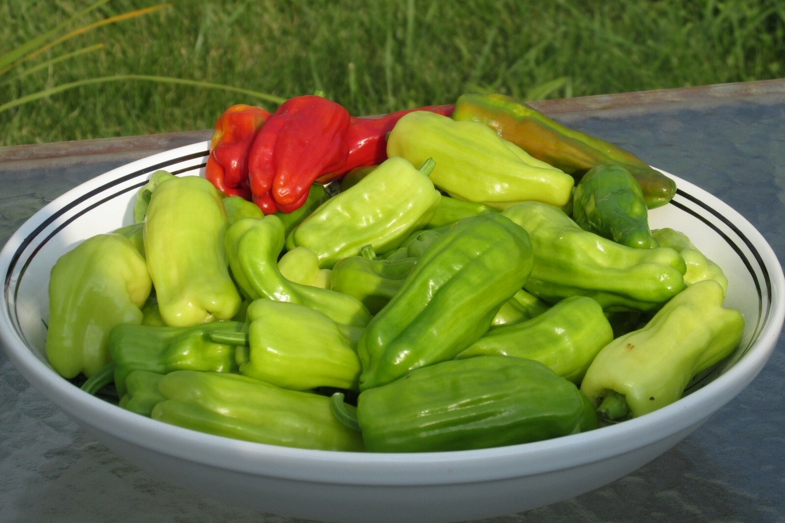 Serrano Pepper Seeds- 50+ 2021 Seeds $1.69 Max S/H