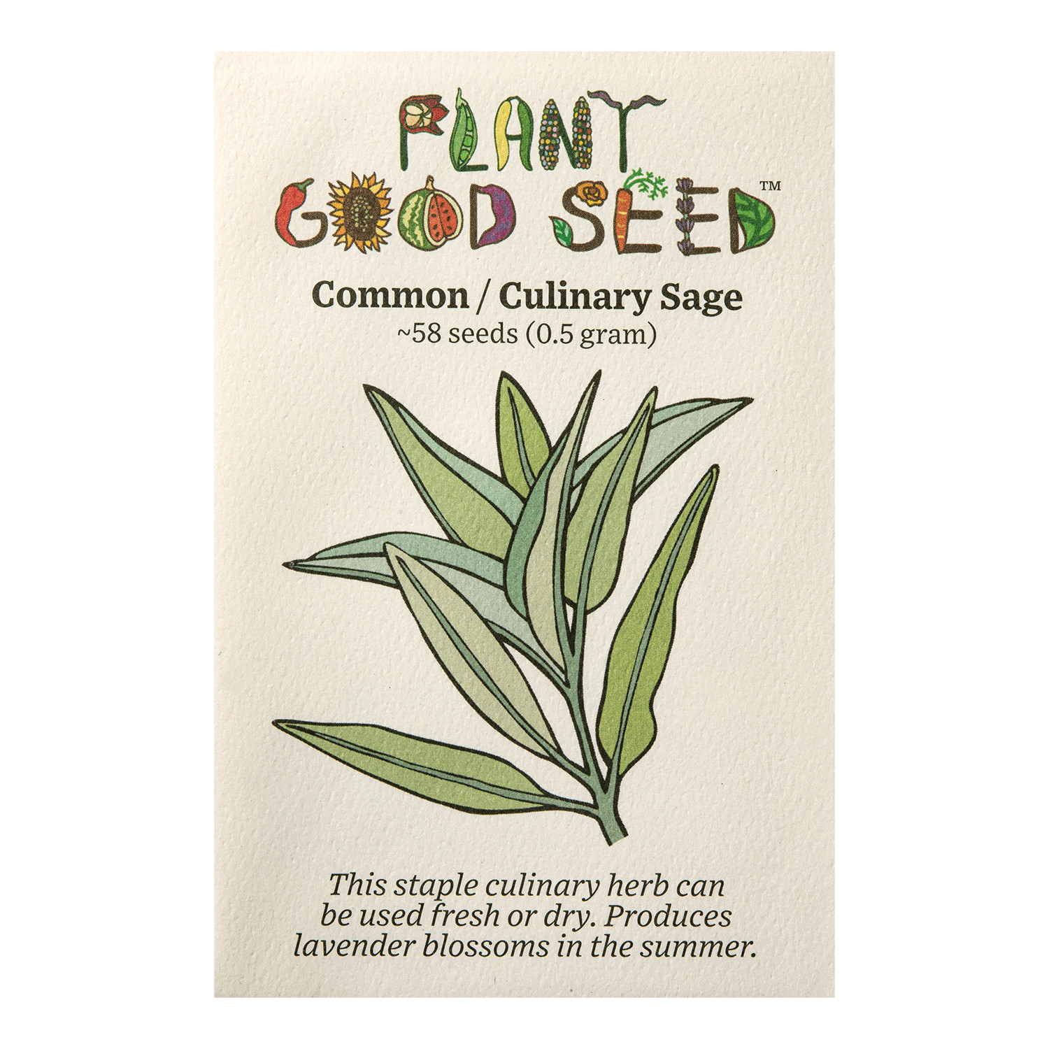 Common / Culinary Sage Seeds