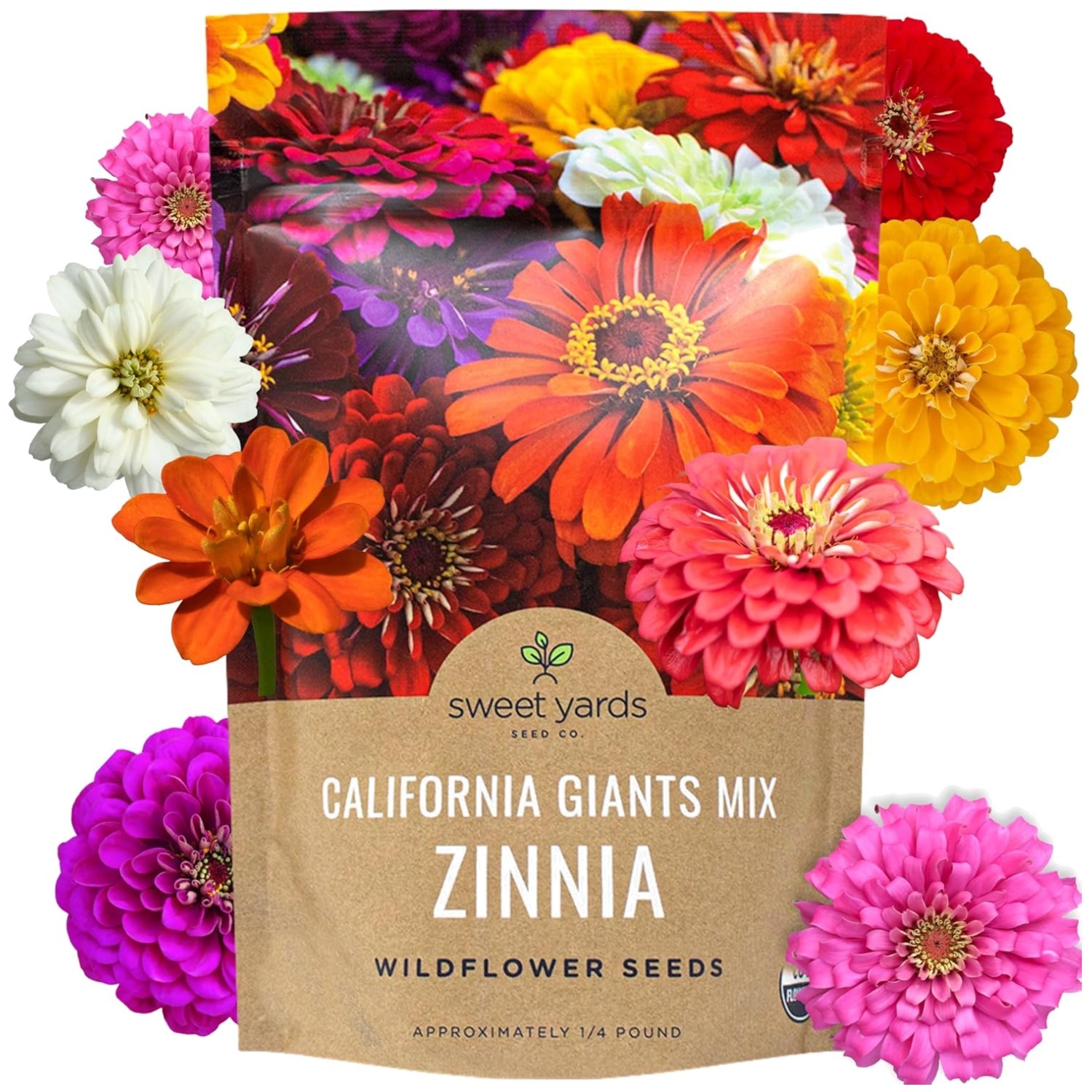 12,000+ Zinnia Flower Seeds – Mixed Colors – Large Blooms