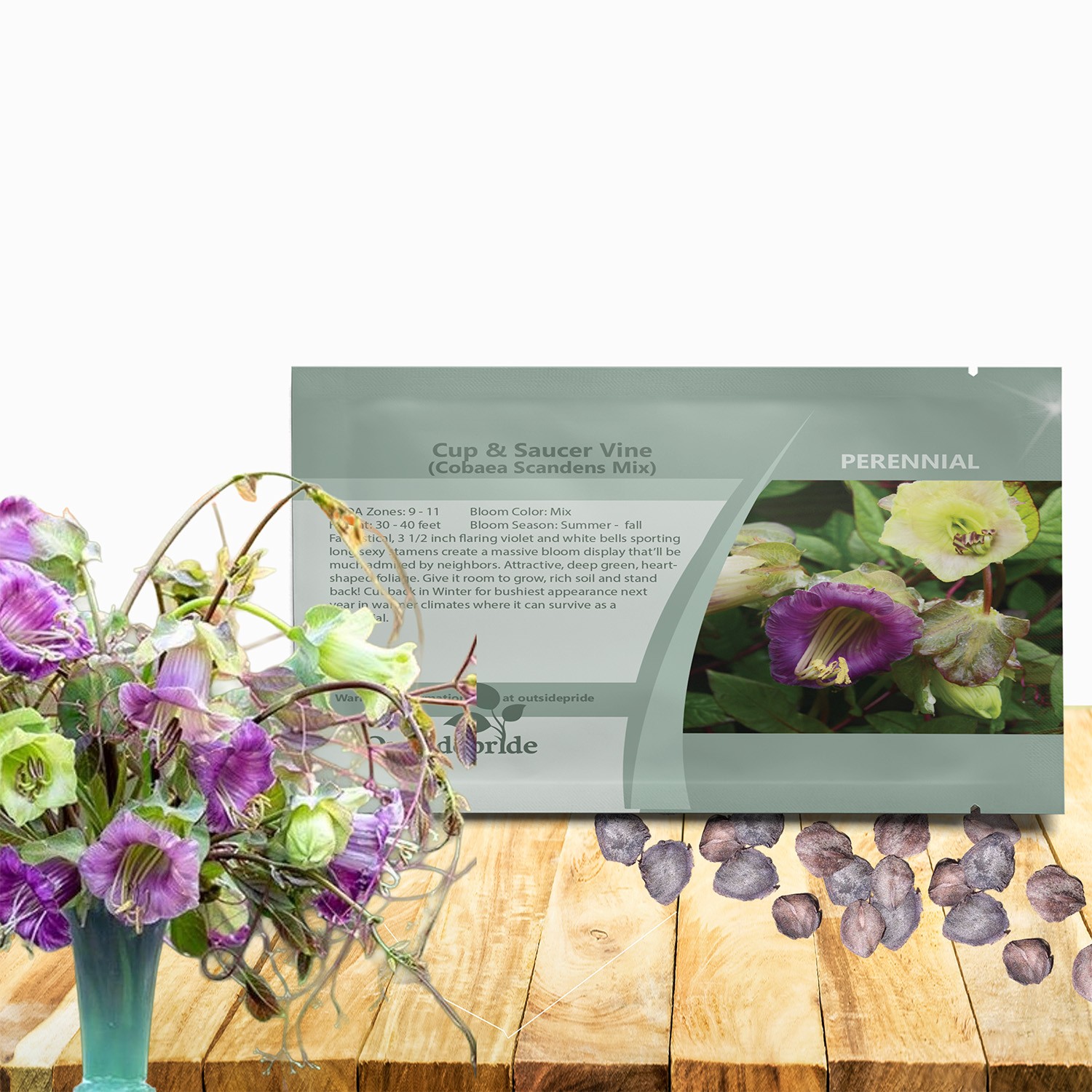 200 Seeds Cup & Saucer Vine Cobaea Scandens Vine Seed Mix