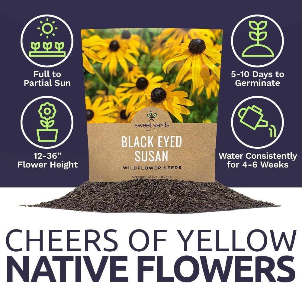 1 Oz Black Eyed Susan Seeds – Vibrant Yellow Wildflowers for Butterfly Gardens