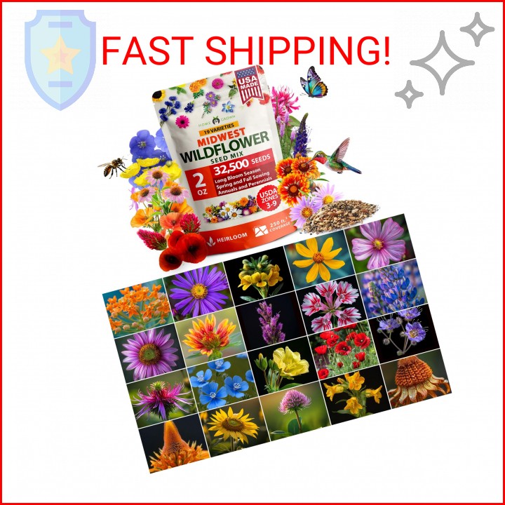 HOME GROWN 32,500+ Midwest Wildflower Seeds 2oz 15 Varieties – Annual & Perennia