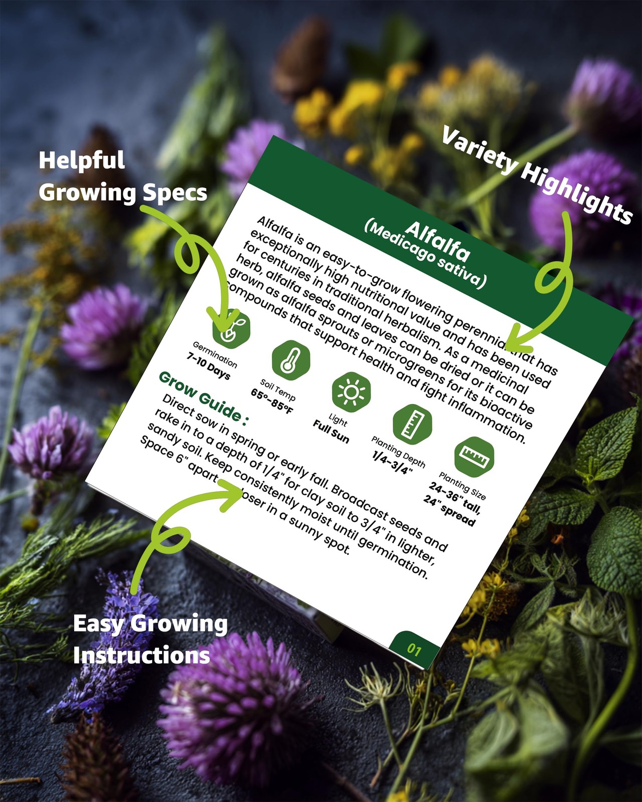Medicinal Herb Seeds Variety Pack – 36 Heirloom Non-GMO Herbal Tea Garden See…