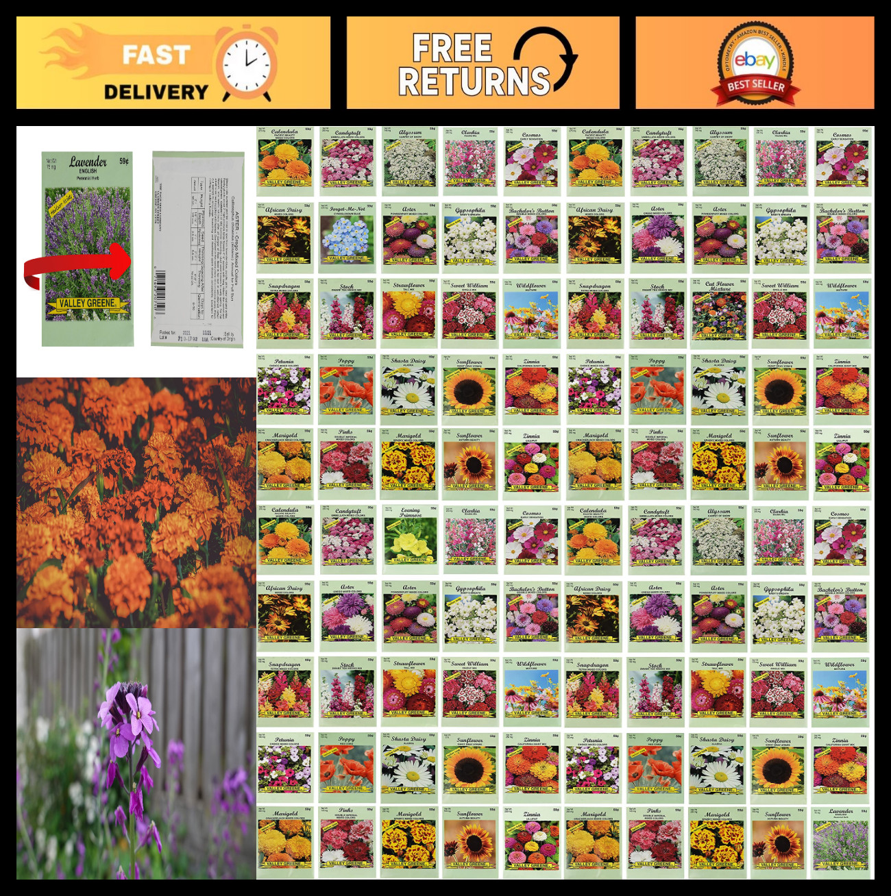 100 Assorted Flower Seed Packets – Bulk Variety Pack with 20+ Flower Types