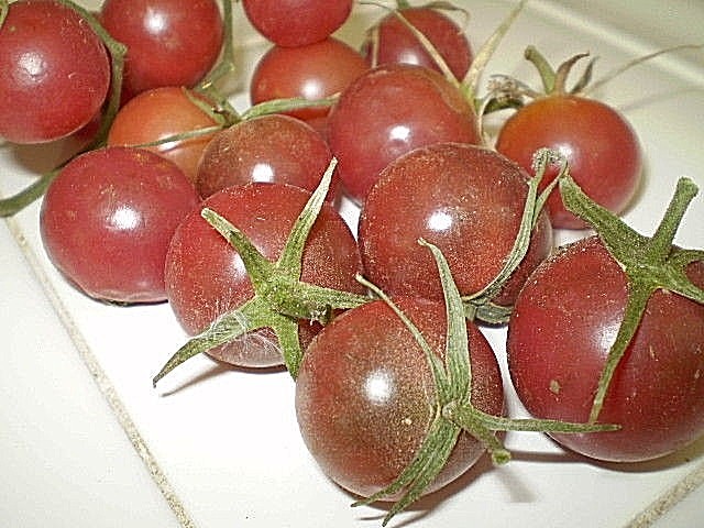 Light Blue Cherry heirloom tomato seeds non-gmo DIFFERENT UNIQUE STRAIN