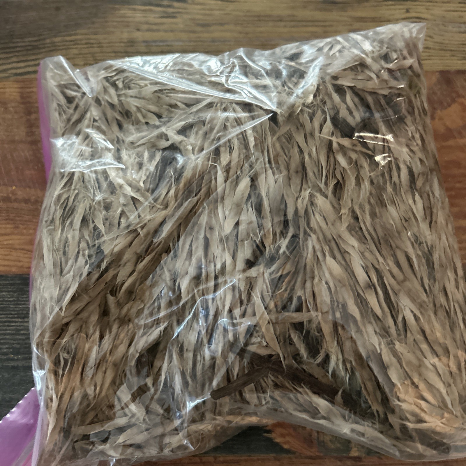 Catawba SEED/ 50 SEED/SHADE TREE/ WORM TREE