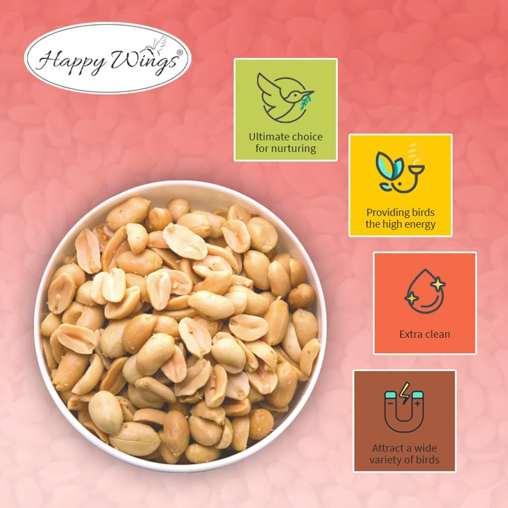 Shelled Peanuts Seeds Wild Bird Food – 5 Pounds I No Grow Seed I Bird Seed for W