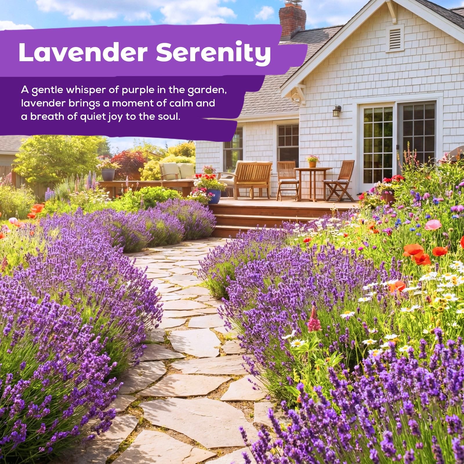5500+ English Lavender Seeds for Planting Outdoor Heirloom Lavandula Flower S…