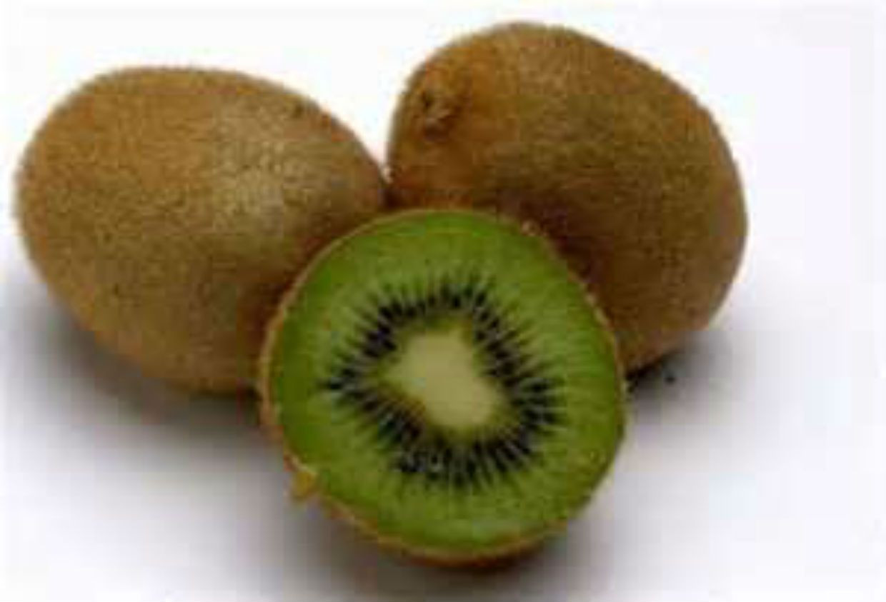 Hayward Kiwi Vine Seeds! GREAT SWEET TASTE! 15 Seeds COMB S/H! See our store.
