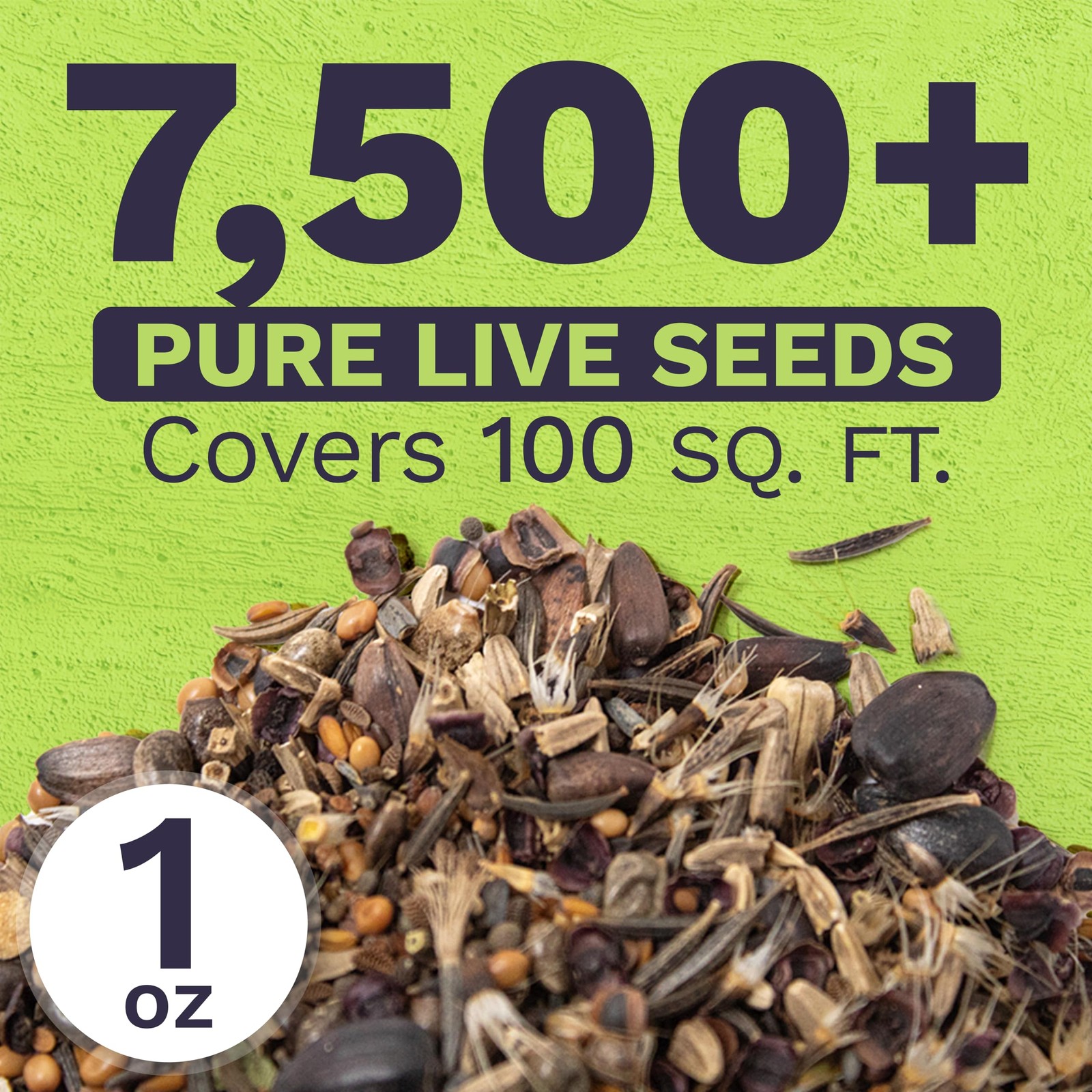 Bee Friendly Wildflower Seed Mix – Bulk 1 Ounce Packet – Over 7,500 Open Poll…
