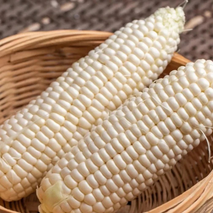 50 White Sweet Corn Seeds – Tender Juicy Ears for Summer Harvest in Home Garden