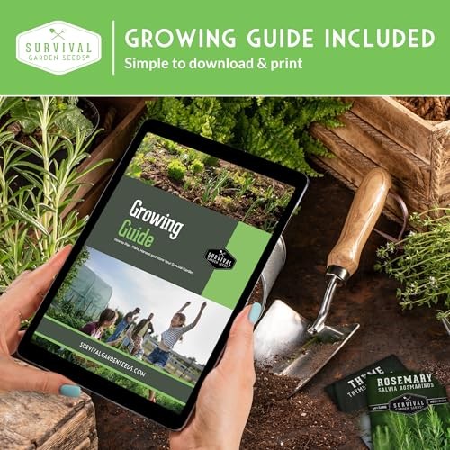 Easy to Grow Herb Seeds Variety Pack | 5 Heirloom Kitchen Herbs for Planting –