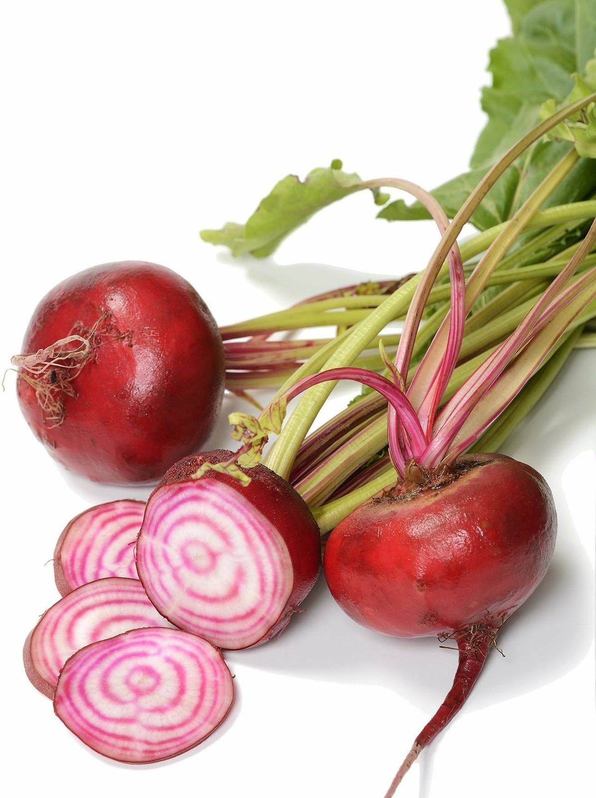 Organic Chioggia Beet – Beta vulgaris