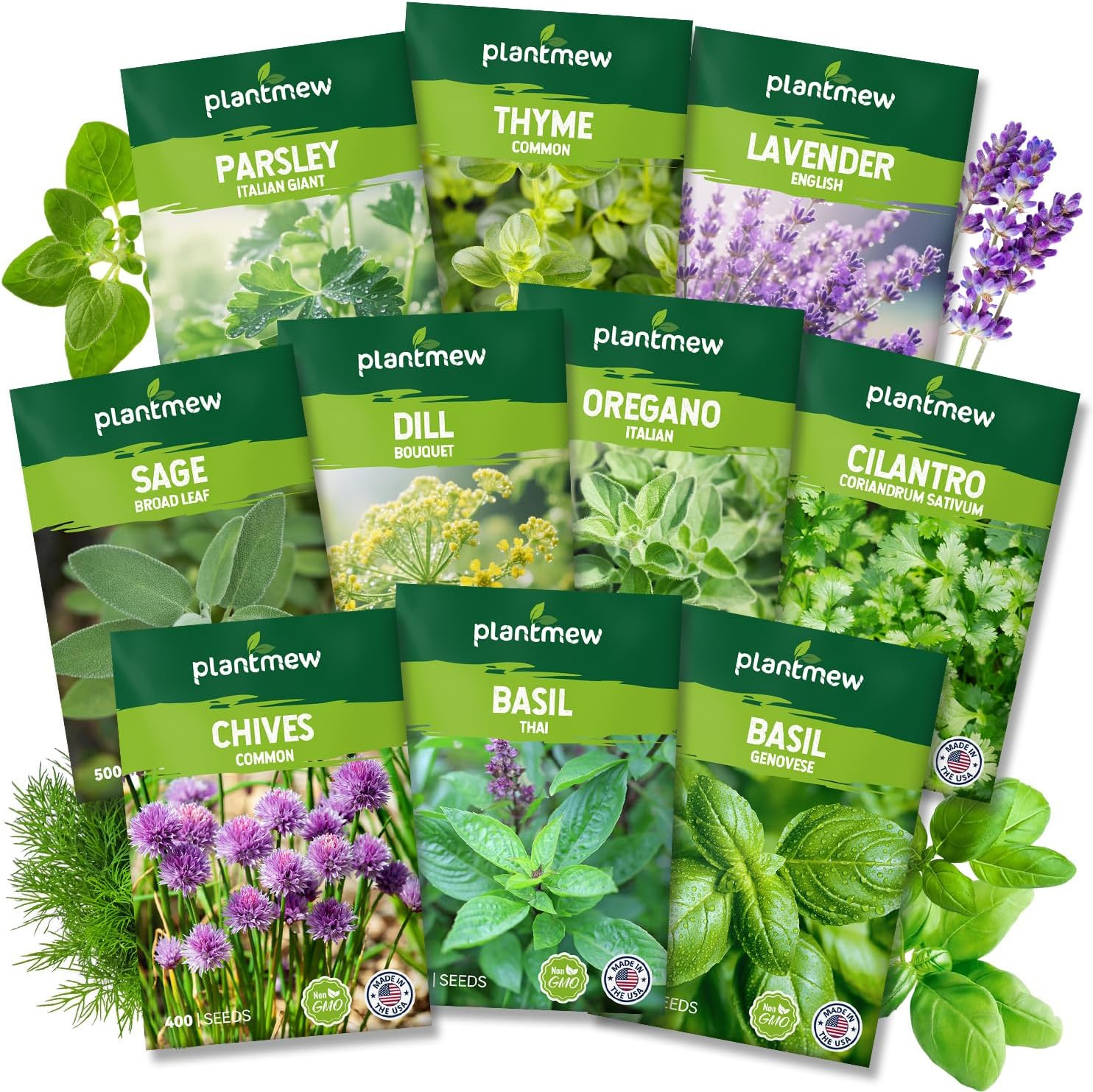 10 Herb Seeds Variety Pack – 7,000+ Heirloom Non-Gmo Seeds – Basil, Cilantro, La