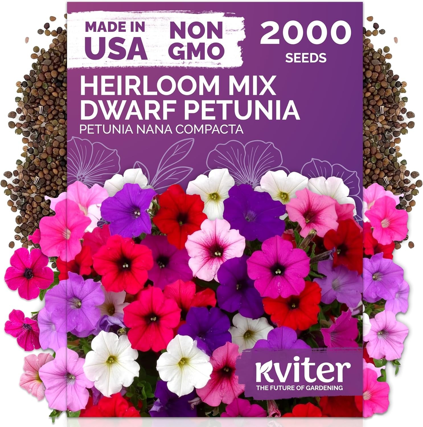 2,000 Non-GMO Dwarf Petunia Seeds – Vibrant Compact Flower Mix for Gardens
