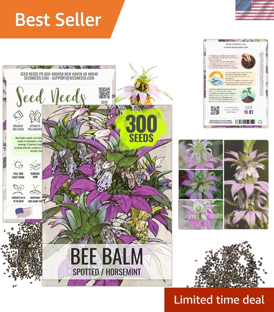 Spotted Bee Balm Heirloom Seeds – Exotic Summer Blooms for Pollinator Gardens