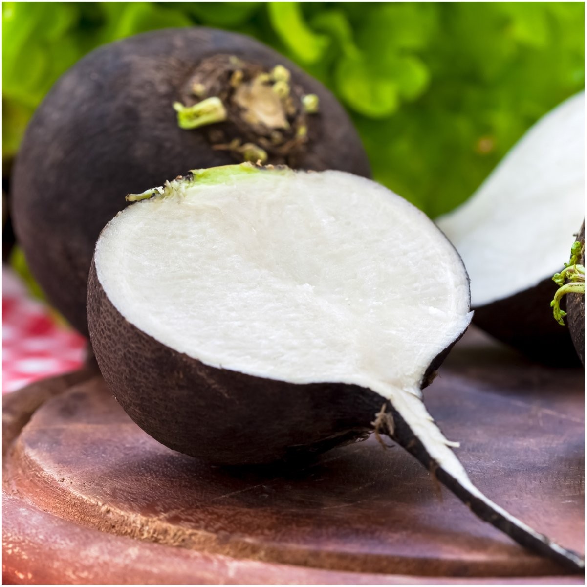 Multicolor Radish Seed Collection – 6 NonGMO Varieties for Planting
