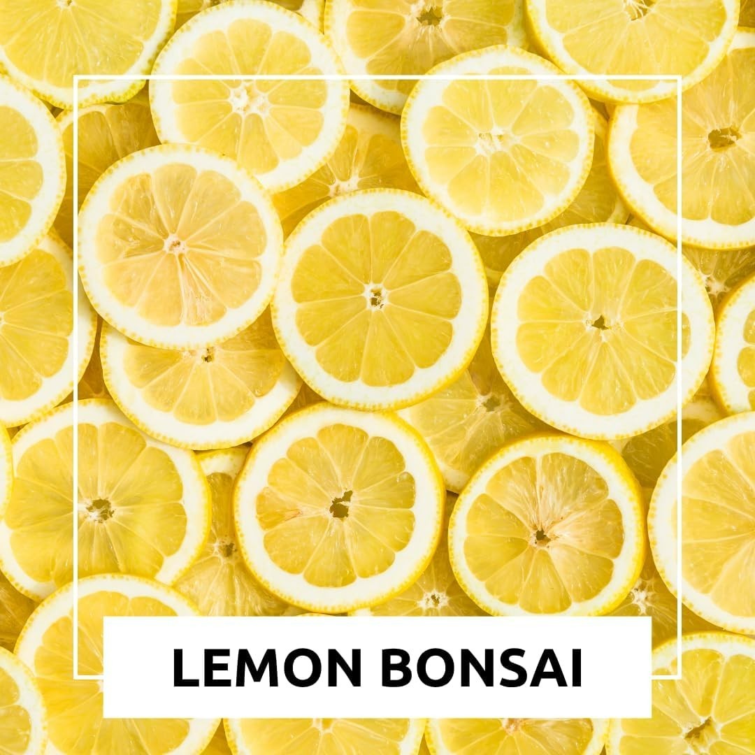 High Germination Dwarf Lemon Bonsai Seeds – 20 Count for Efficient Growth