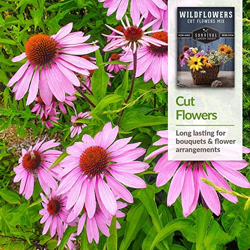 Cut Flowers & Wildflower Seed Mix for Planting – Packet with Instructions to 1