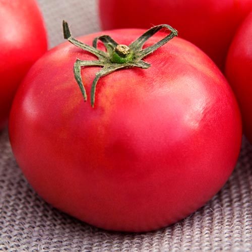 Arkansas Traveler tomato seeds non-gmo heirloom open pollinated
