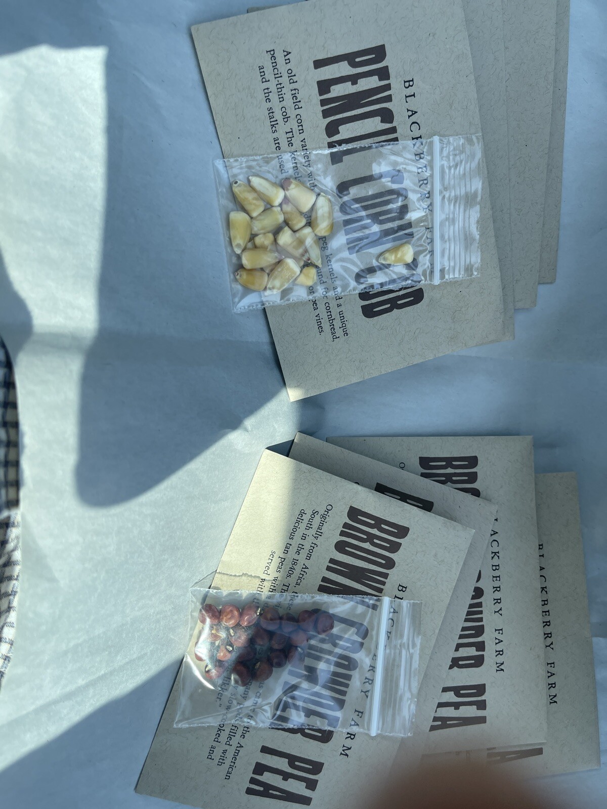 4 Pk Crowder Pea Seed & 4 Pk Pencil Corn Cob from Blackberry Farms