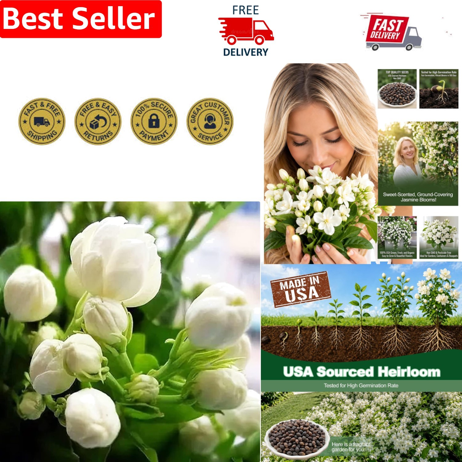 100+ Jasmine Seeds – Grow Beautiful Climbing Flowers for -Round Beauty