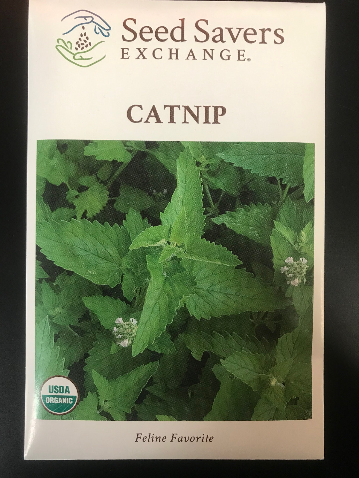 Seed Savers Exchange Catnip Seeds 2024