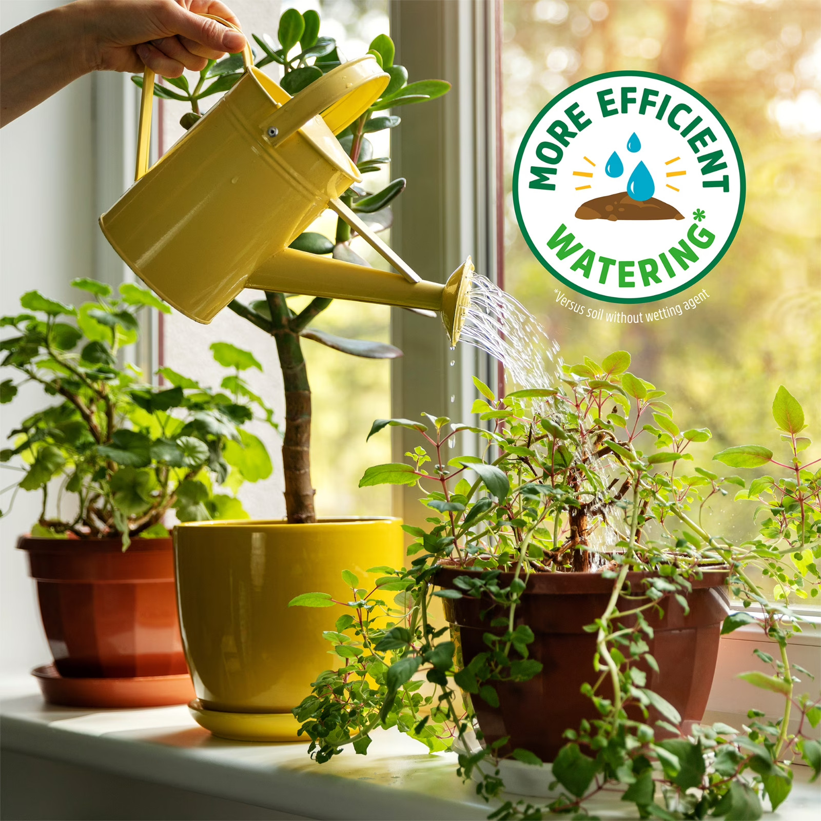 Organic All-Purpose Potting Mix Premium Soil Blend 23 lb Back to the Roots