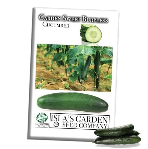 Garden Sweet Burpless Cucumber Seeds for Planting (Cucumis sativus) – 50+ Non