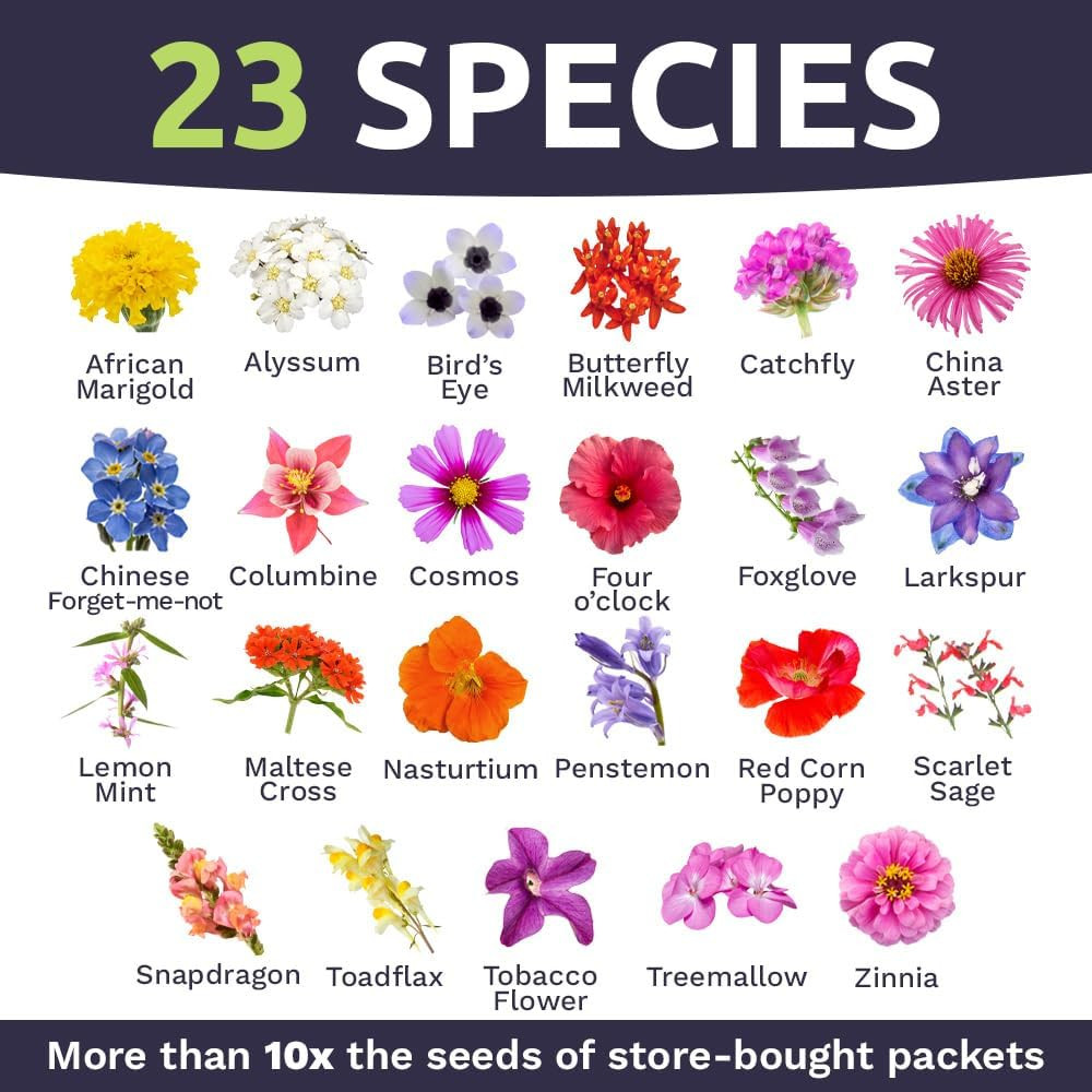 Wildflower Seeds Butterfly and Humming Bird Mix – Large 1 Ounce Packet 7,500+ Se