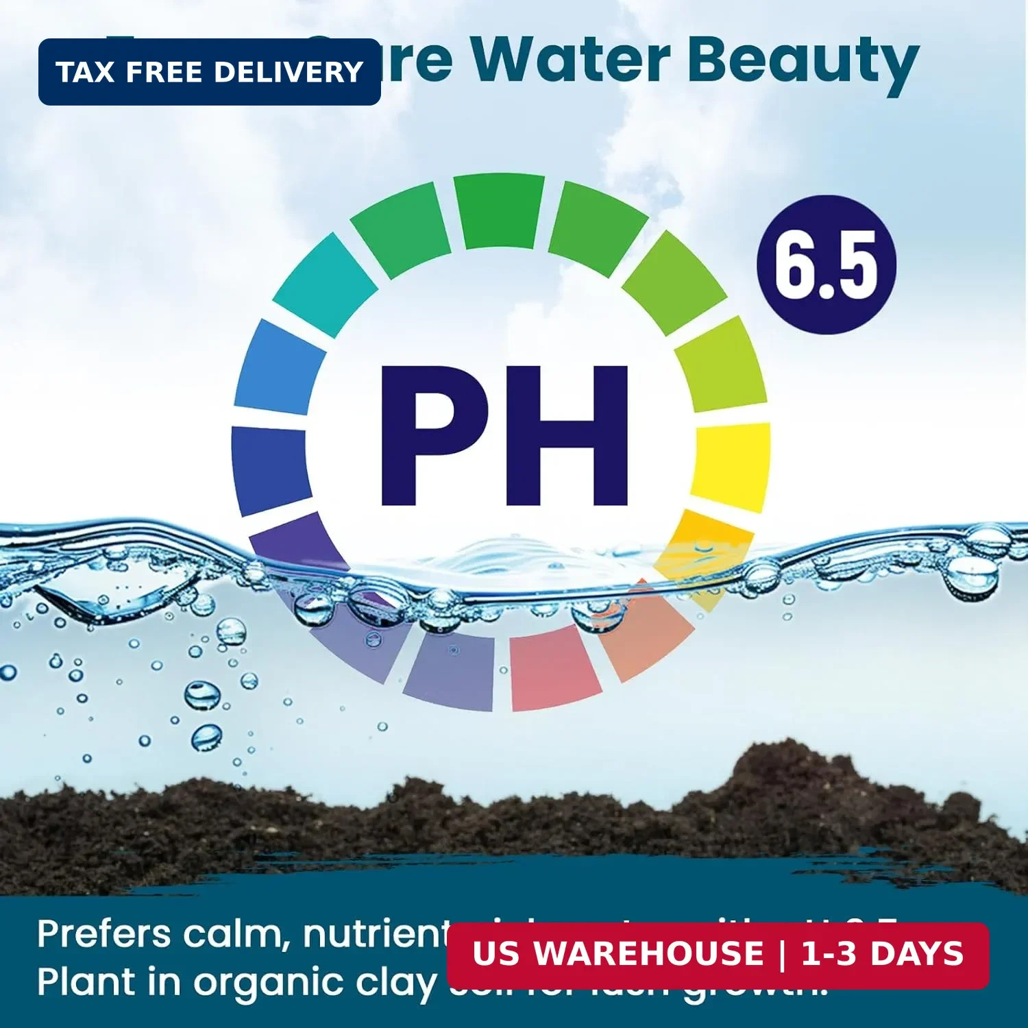 Lotus Seeds for Planting in Water | 30 PCS Mixed Color Bowl Lotus Seeds for Indo