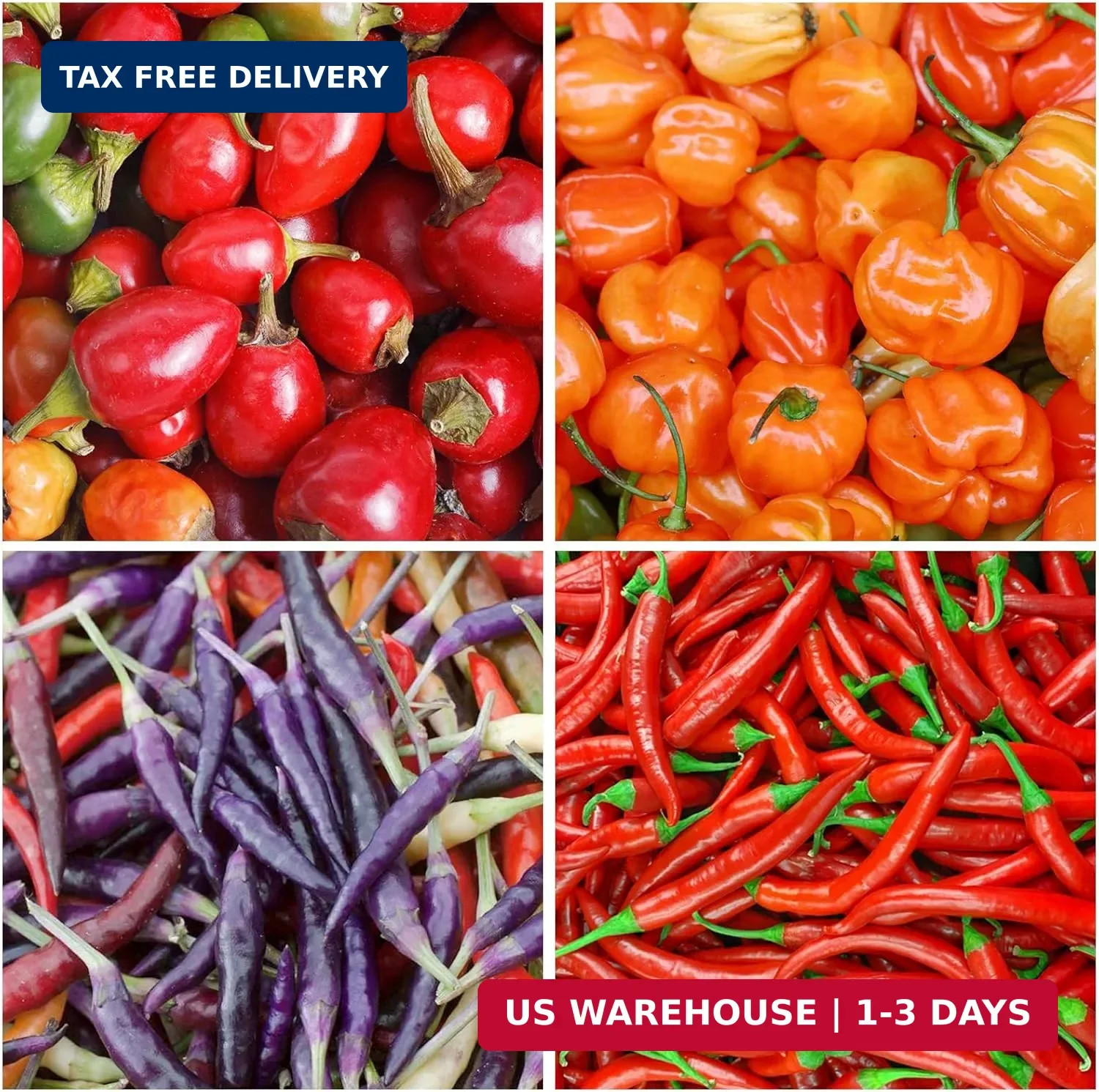 Hot & Sweet Pepper Seed Collection for Planting – 8 Varieties Pack, Jalapeno, Ha