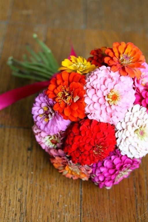 Pumila Mix “Pom Pom” Zinnia Seeds | Dwarf Rainbow Multi Color Flower Seed 2024