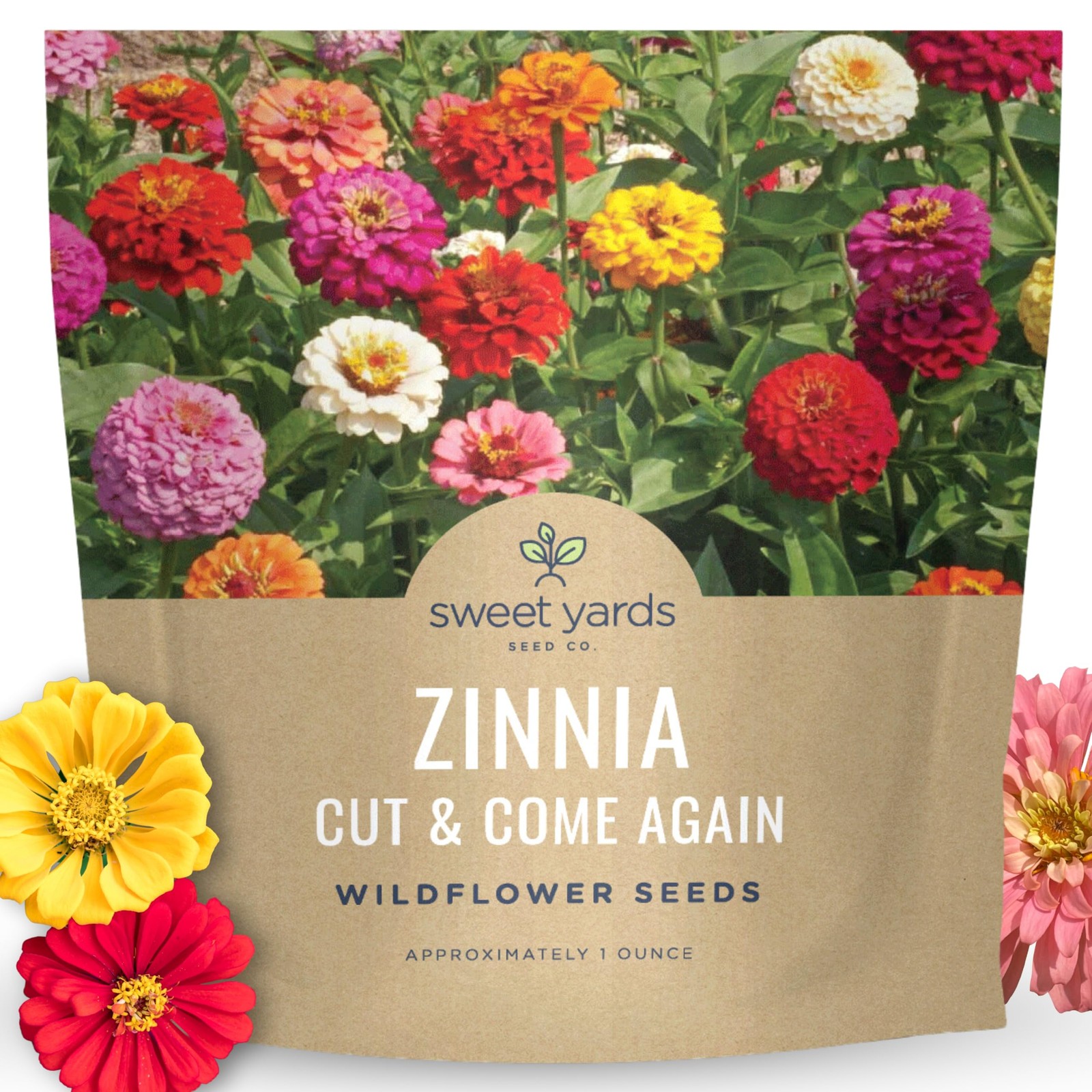 4000 PCS Zinnia Cut Come Again Mix Large 1 Ounce Packet Flower Seeds Elegans