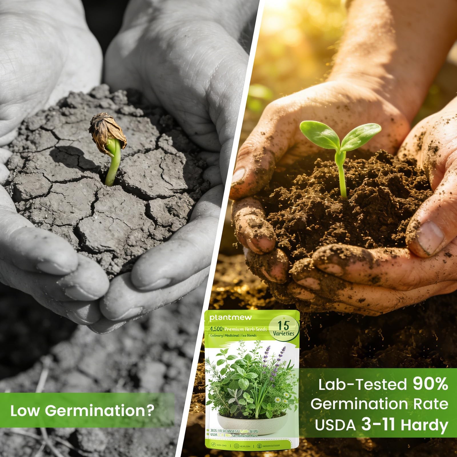 Herb Seeds 15Pack – 4,500+ Heirloom Seeds for Planting – Indoor & Outdoor Her…