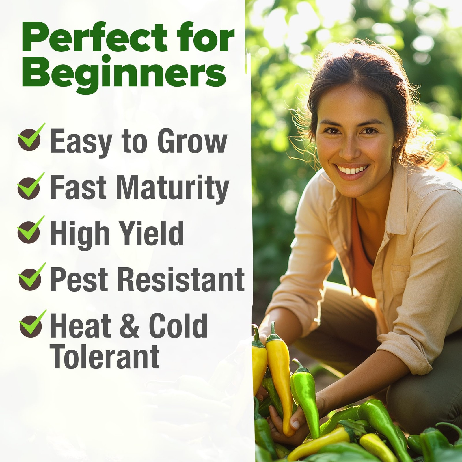 HOME GROWN Banana Pepper Seeds 94+ Heirloom Non GMO Seeds for Planting, High …
